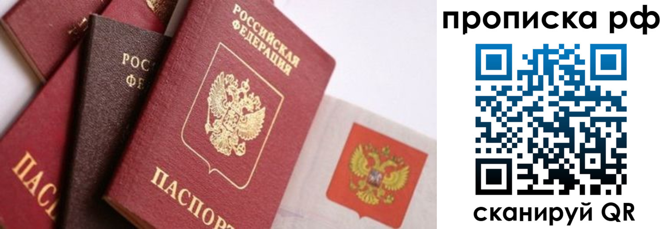 найти адрес прописки в Боре